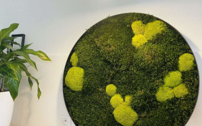 Avec ou sans le feuillage, Nature Végétale réalise des cadres végétaux sur mesure
