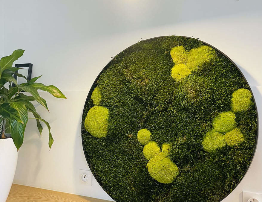 Avec ou sans le feuillage, Nature Végétale réalise des cadres végétaux sur mesure