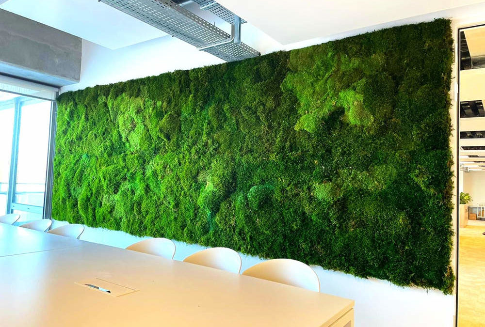 Un mur blanc, une envie de nature : Optez pour un mur en mousse stabilisée