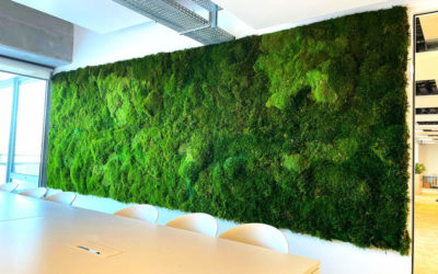 Un mur blanc, une envie de nature : Optez pour un mur en mousse stabilisée