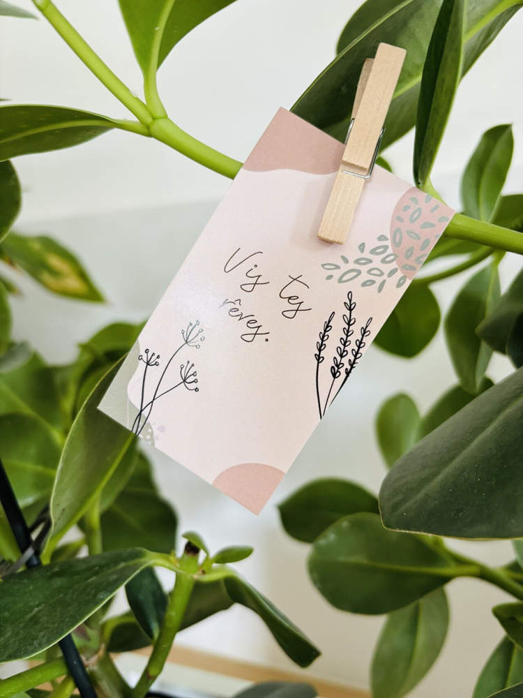 de petits mots positifs vont commencer à fleurir