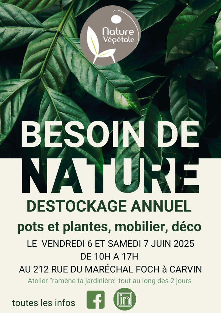 DESTOCKAGE NV 2025