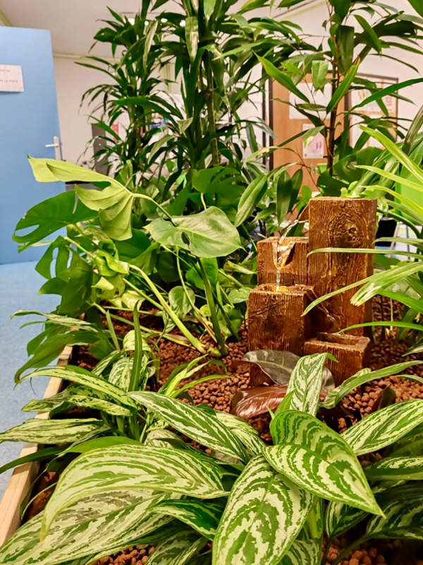 Détail des plantes d’intérieur dans une jardinière sur-mesure