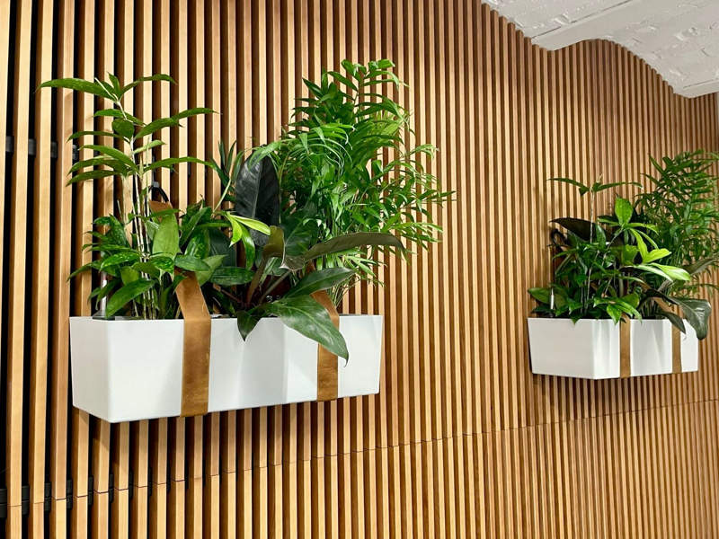 Création de cadre végétal sur mesure pour habiller les bureaux de vos espaces de travail