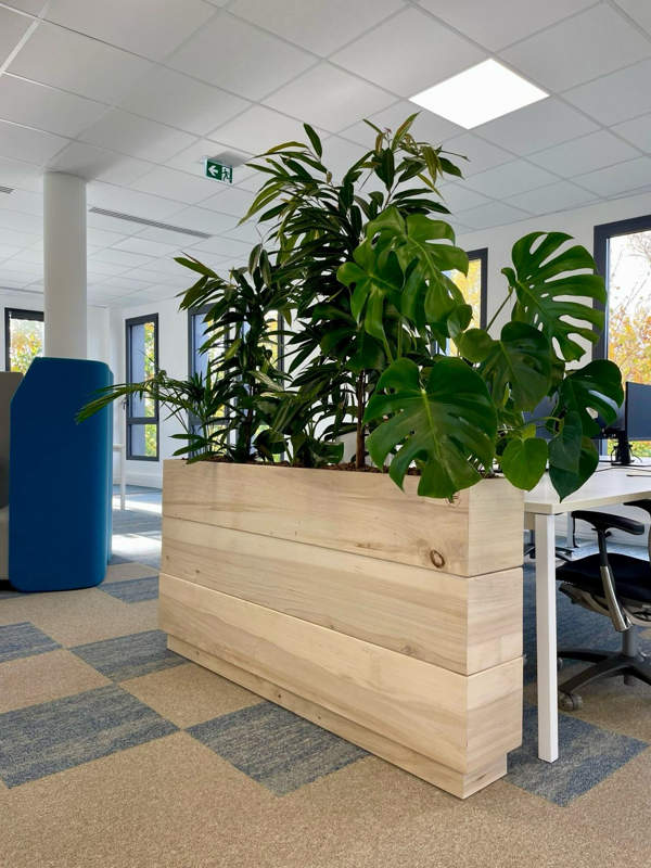 Création de cadre végétal sur mesure pour habiller les bureaux de vos espaces de travail