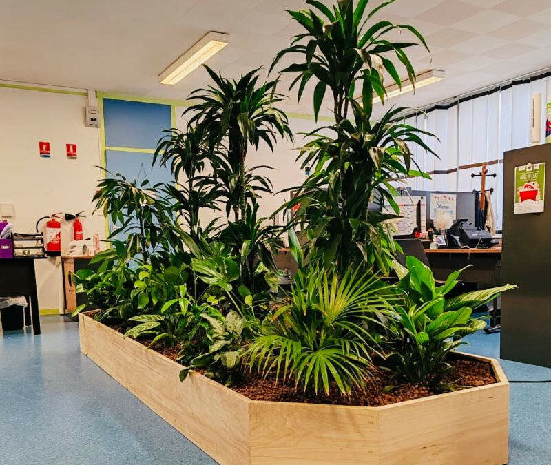 Location de plantes Lille