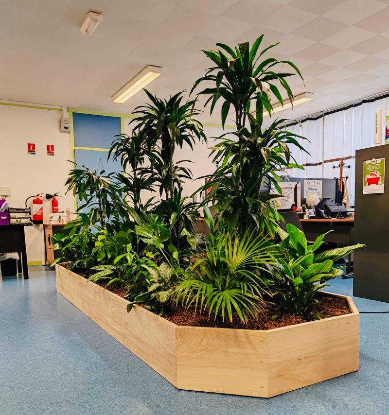 Grande jardinière sur-mesure avec plantes d’intérieur dans un CCAS